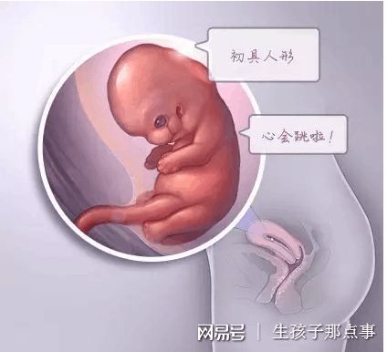 王主任